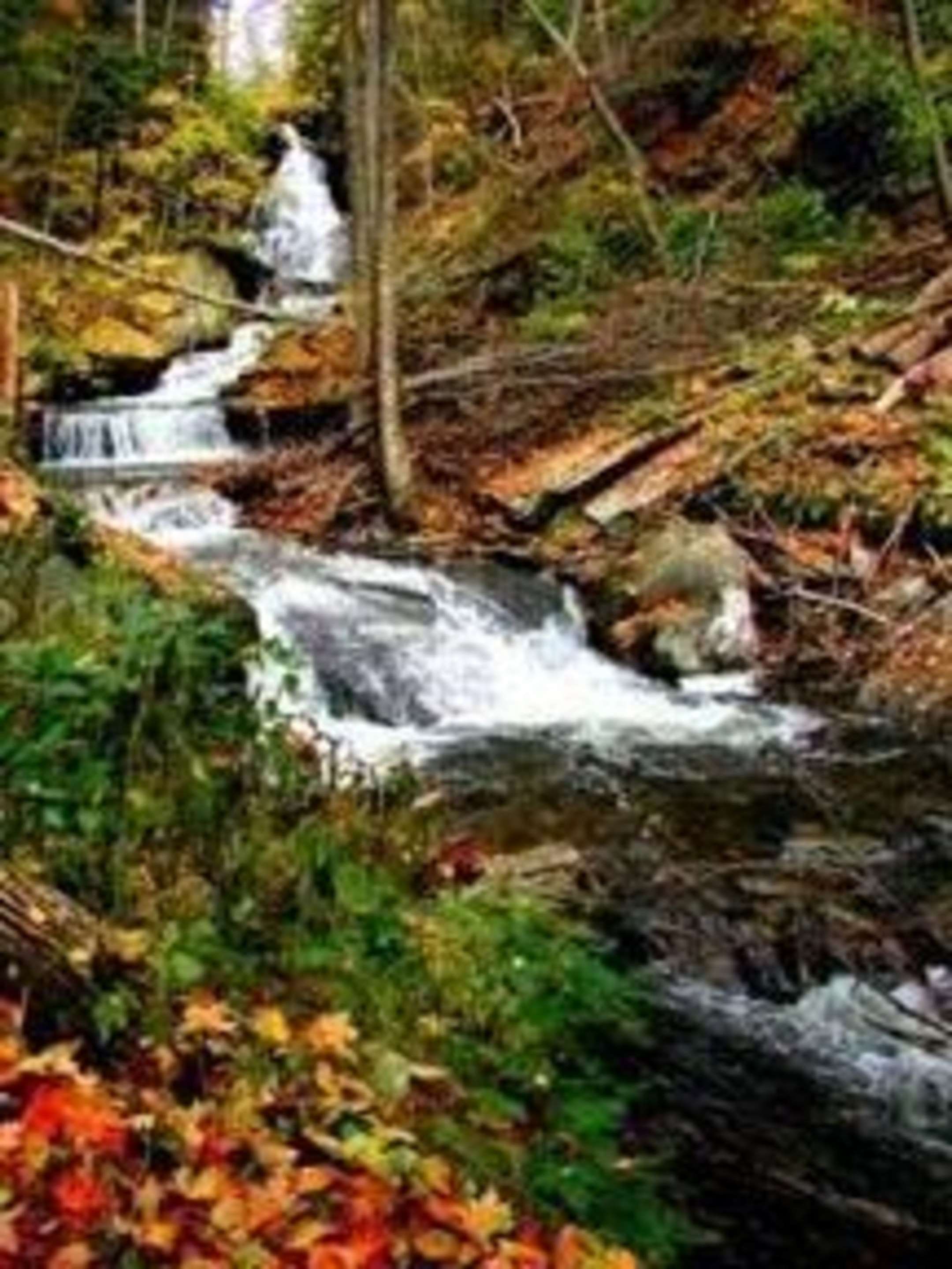 Enjoy outdoor recreational activities in the area | Quality Inn & Suites
