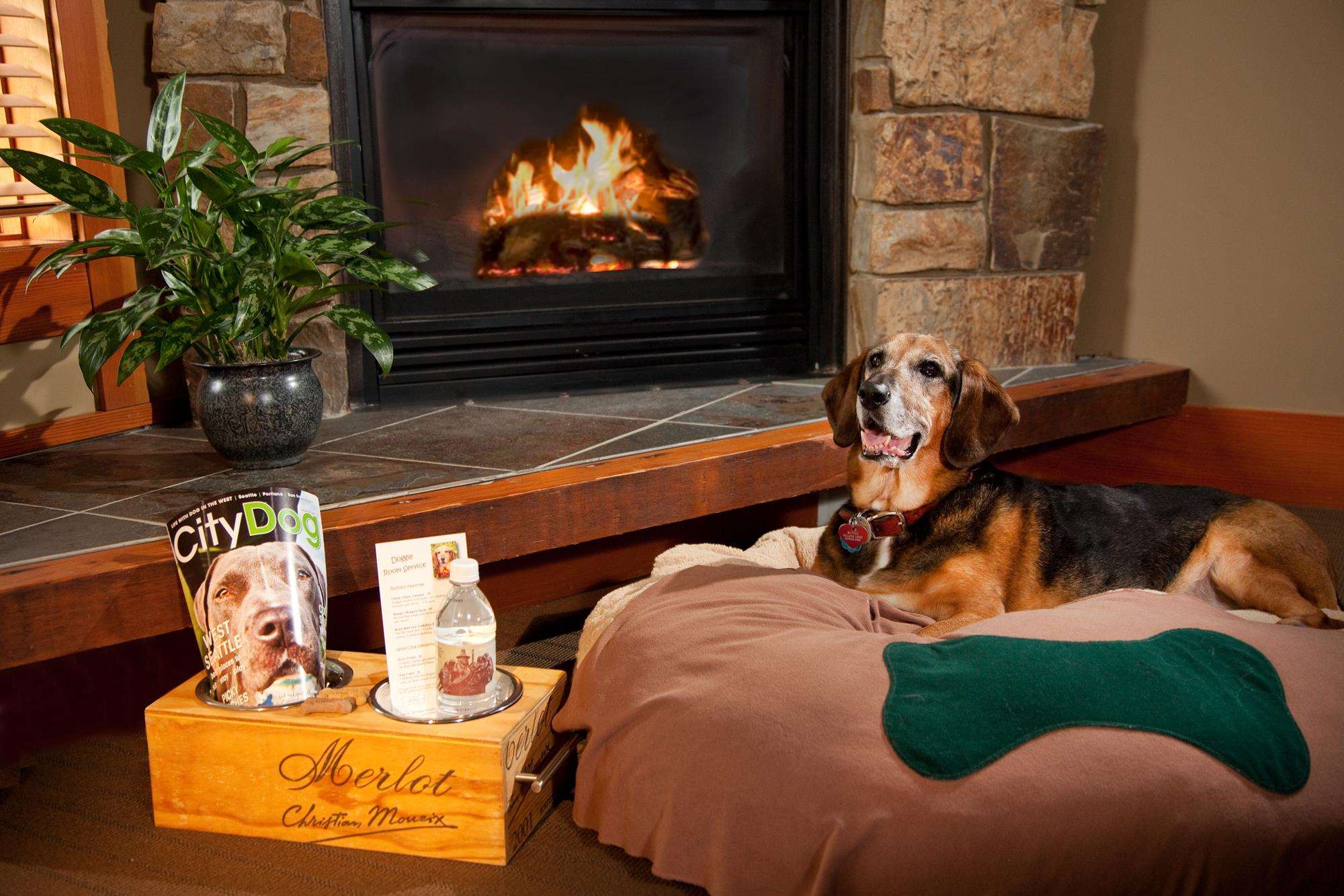 Property amenity | Willows Lodge