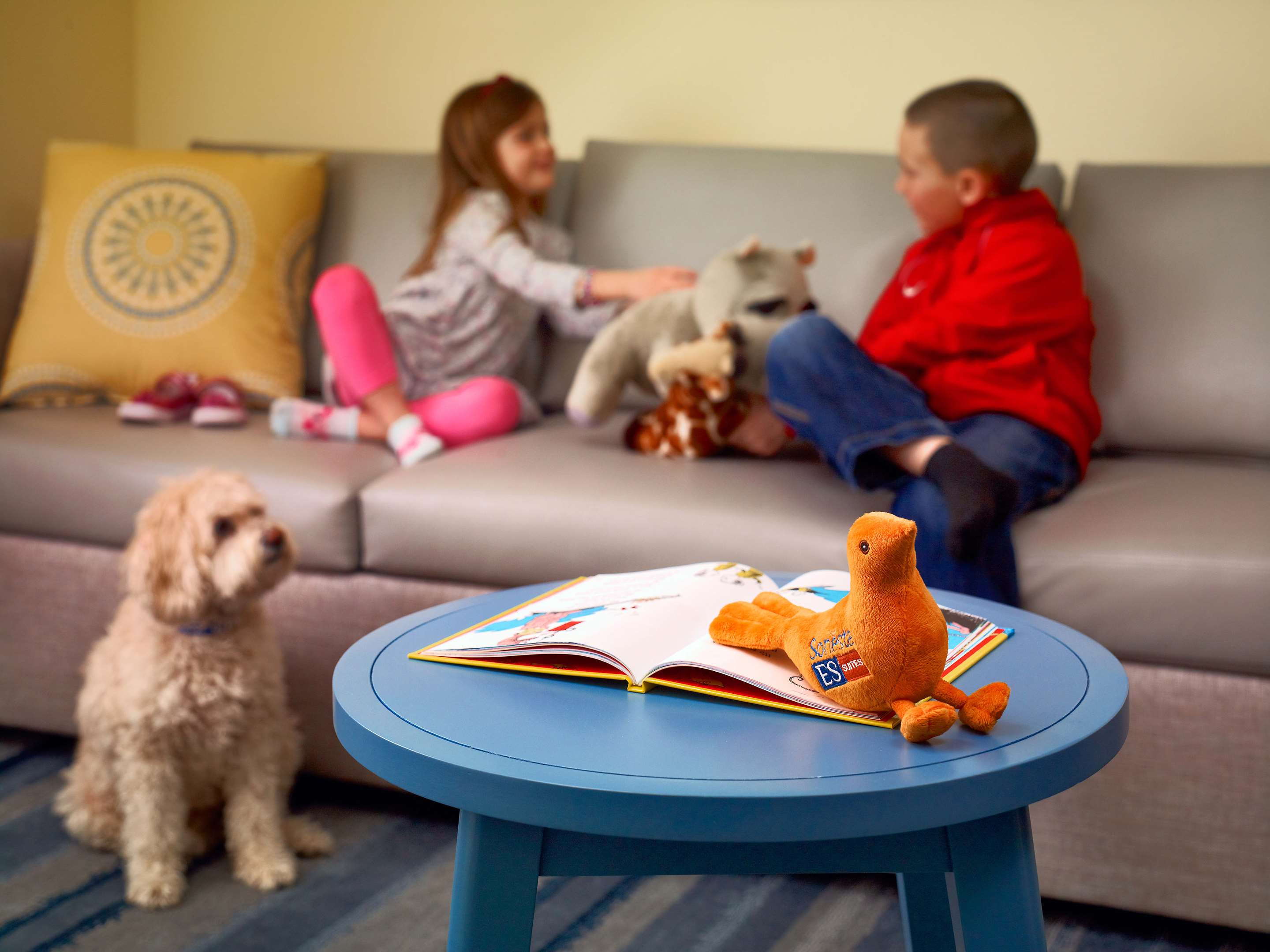 Pet Friendly | Sonesta ES Suites Somers Point