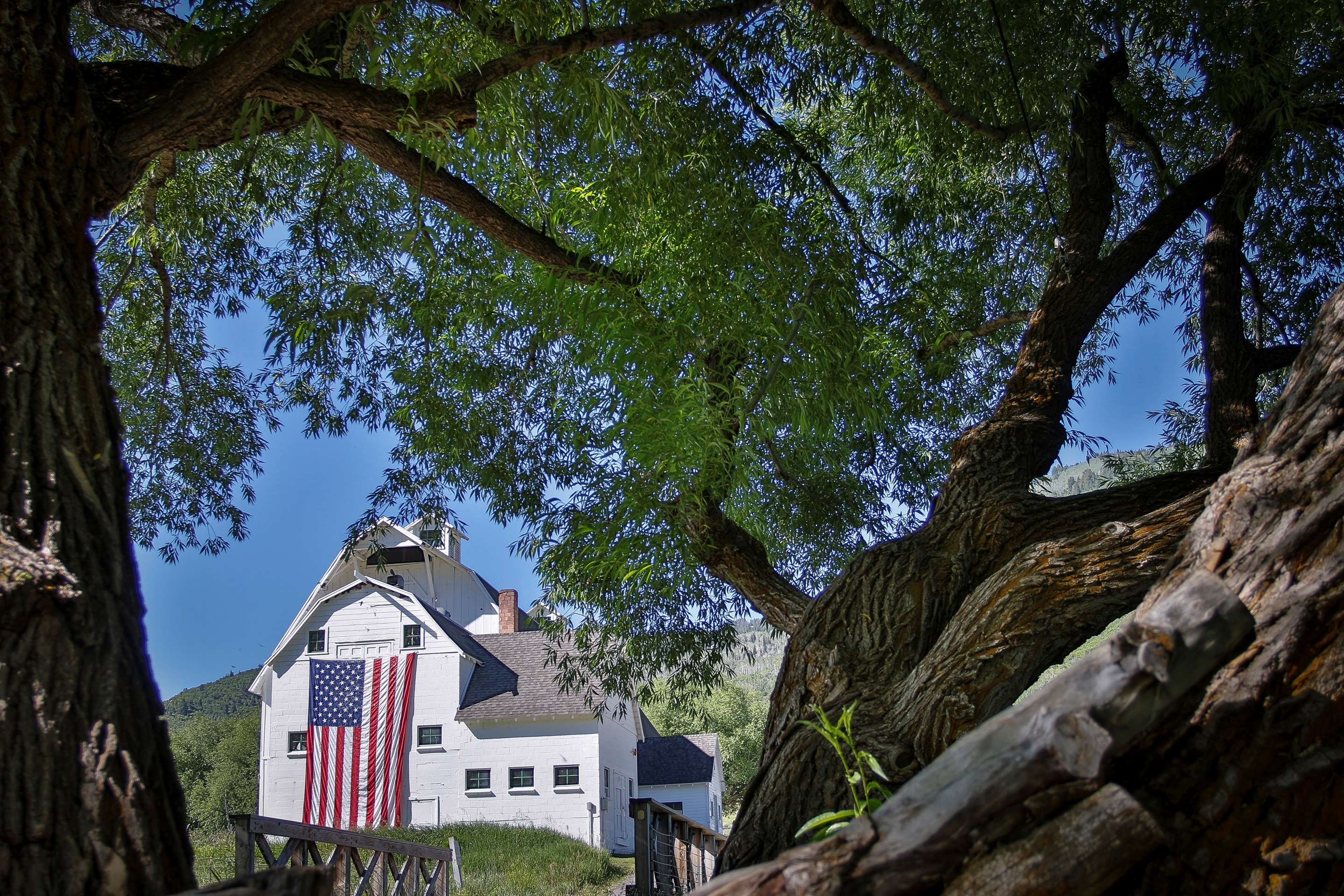 Park City White Barn through the trees
