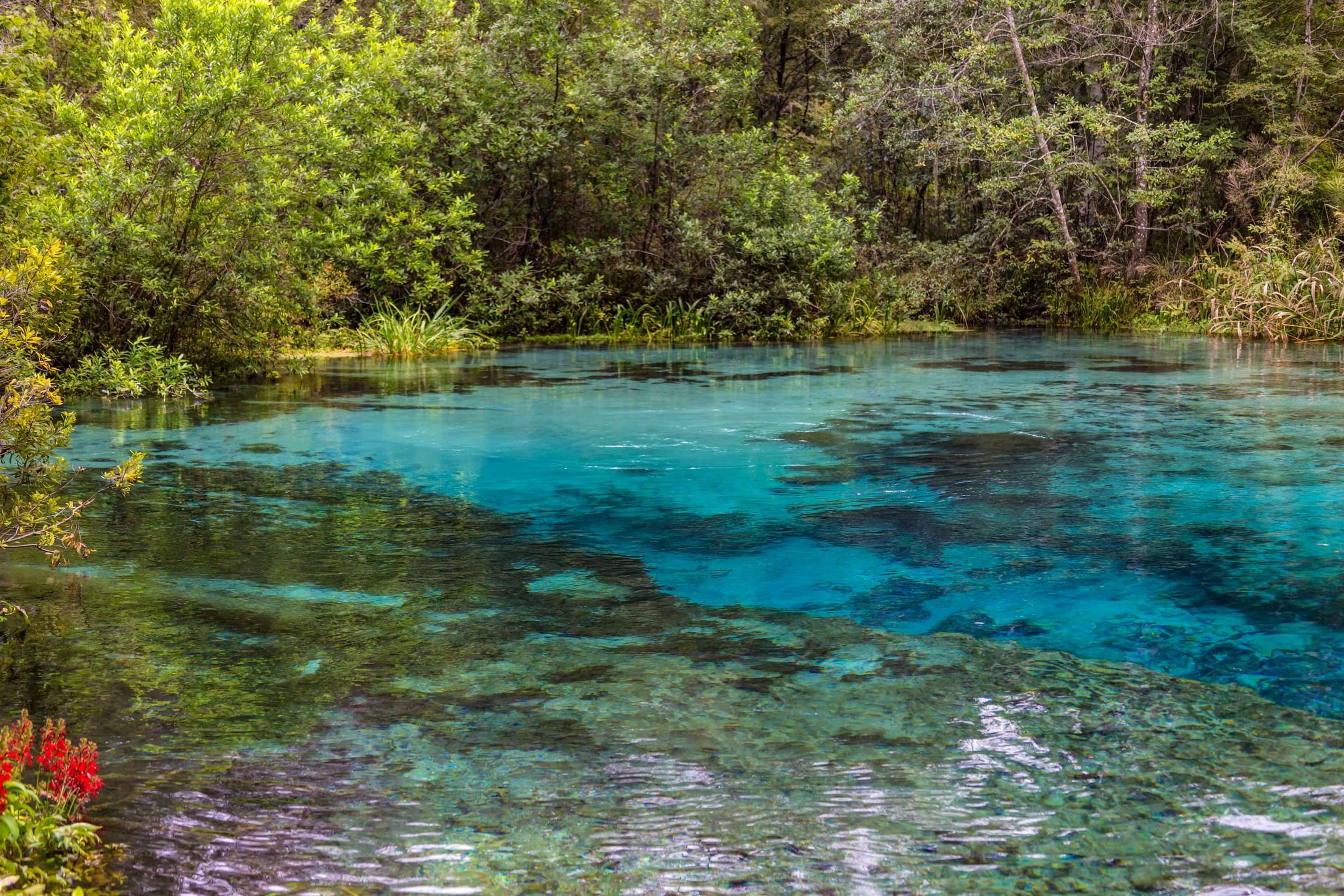 Ichetucknee Springs