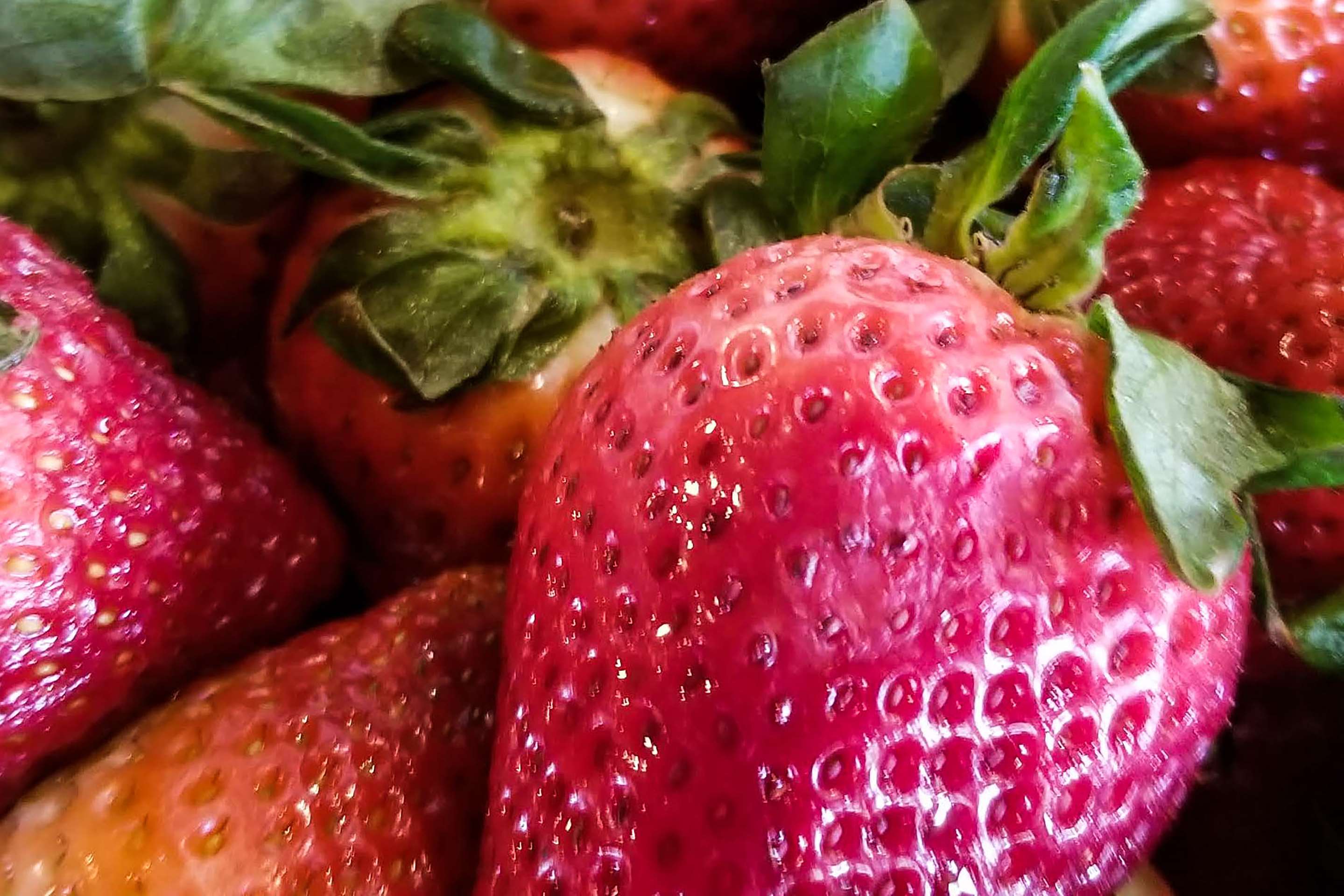 Fresh Strawberries