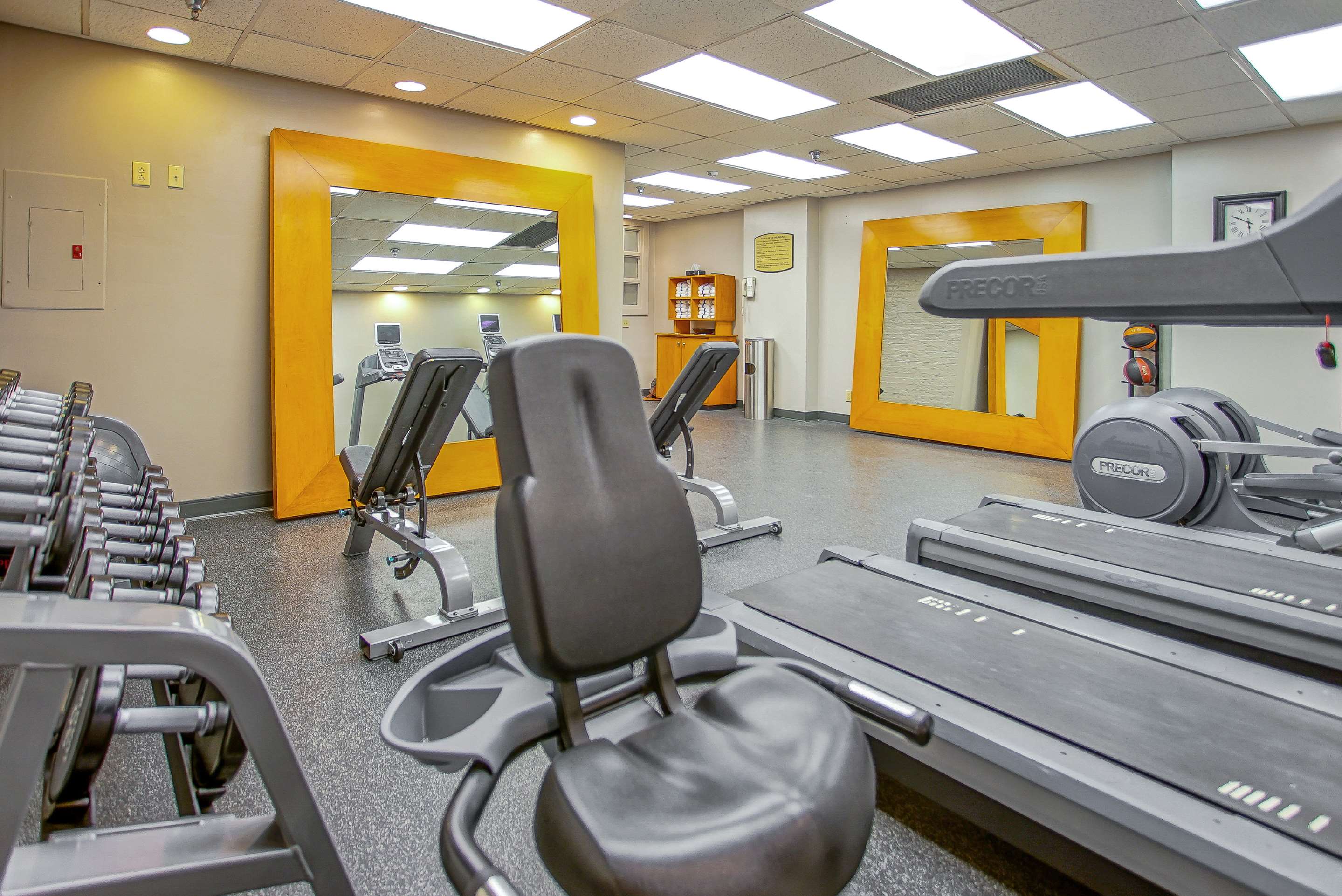 Health club fitness center gym