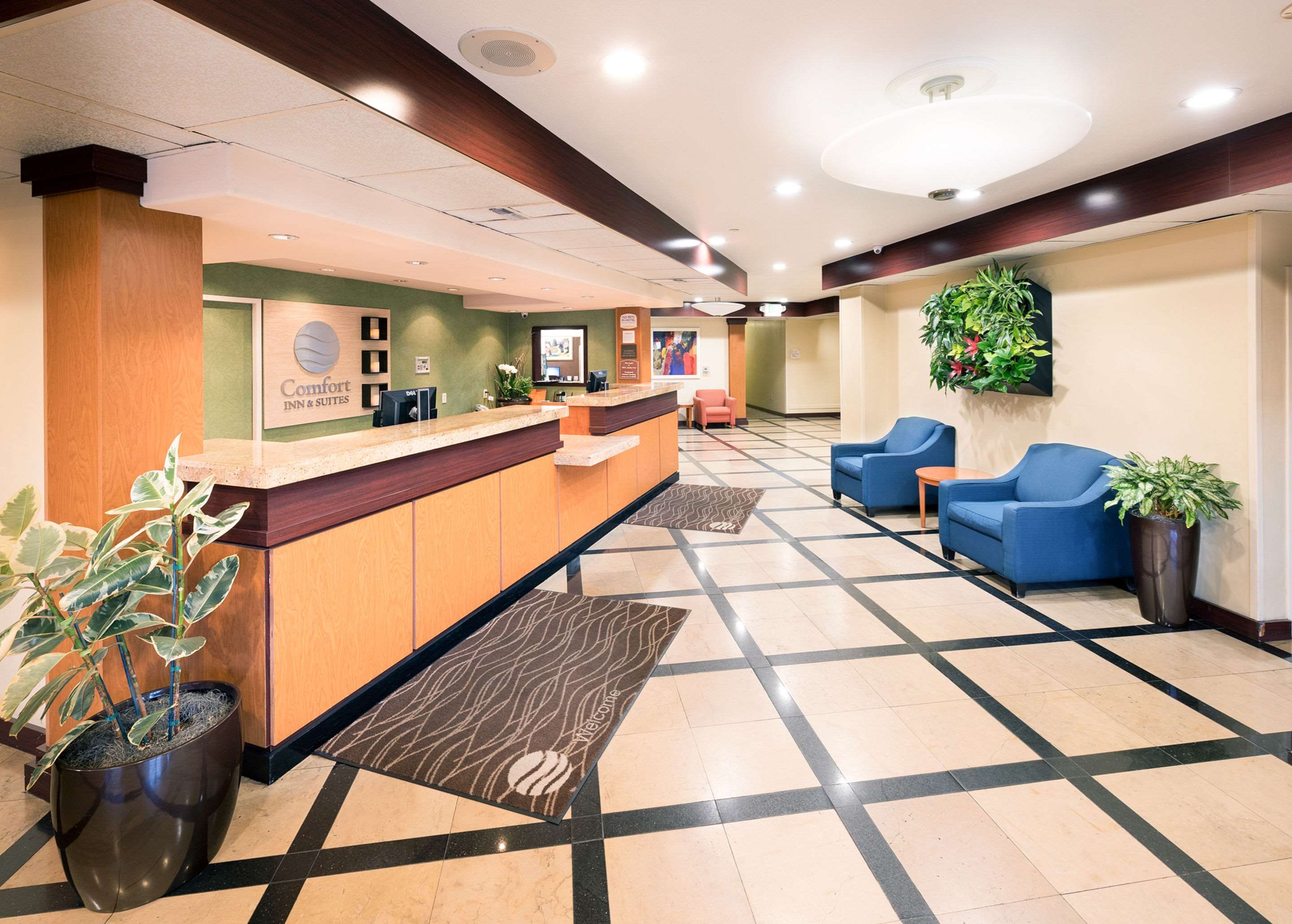 Hotel lobby | Comfort Inn & Suites Oakland