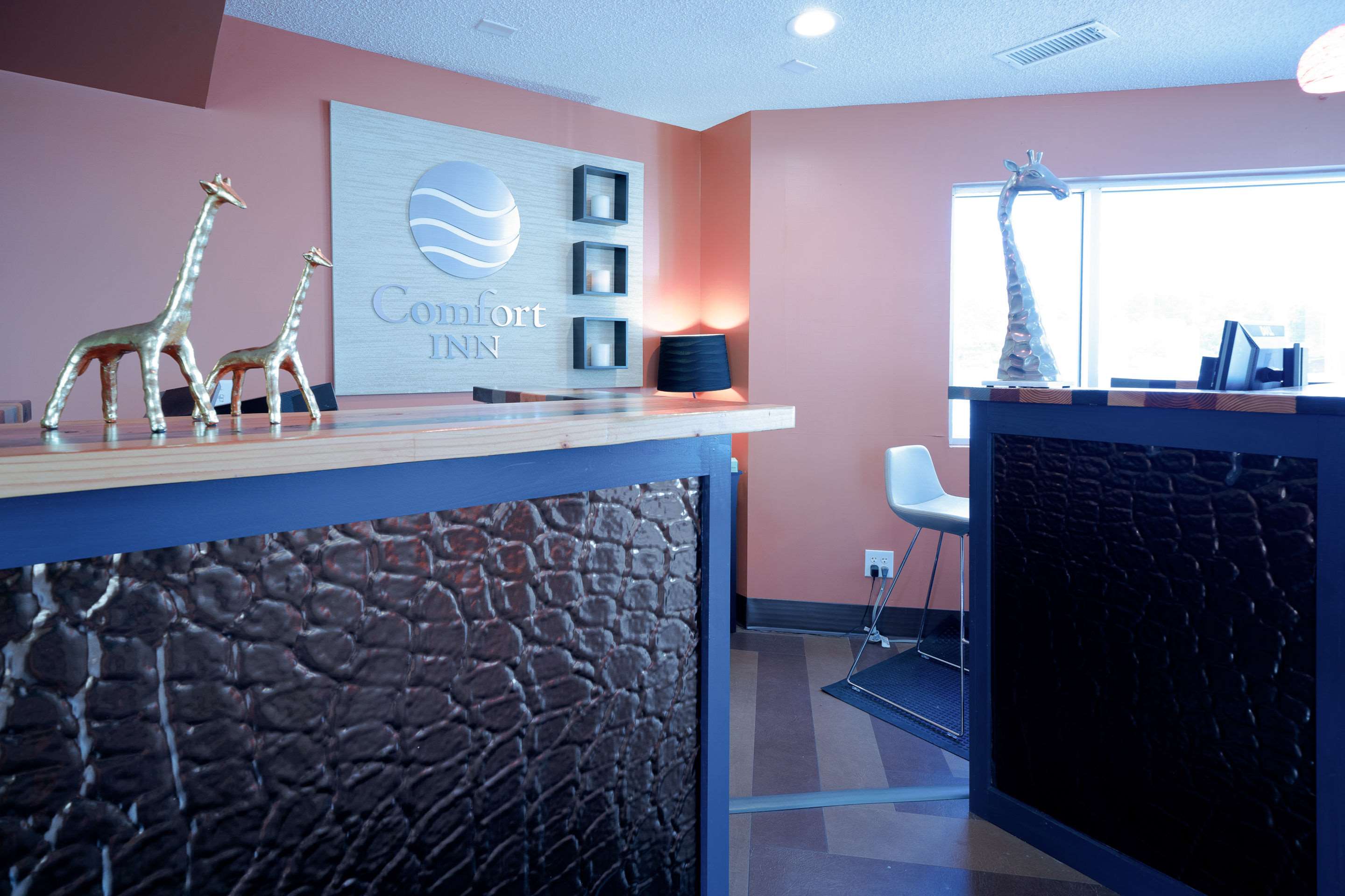 Front desk with friendly staff | Comfort Inn At The Zoo