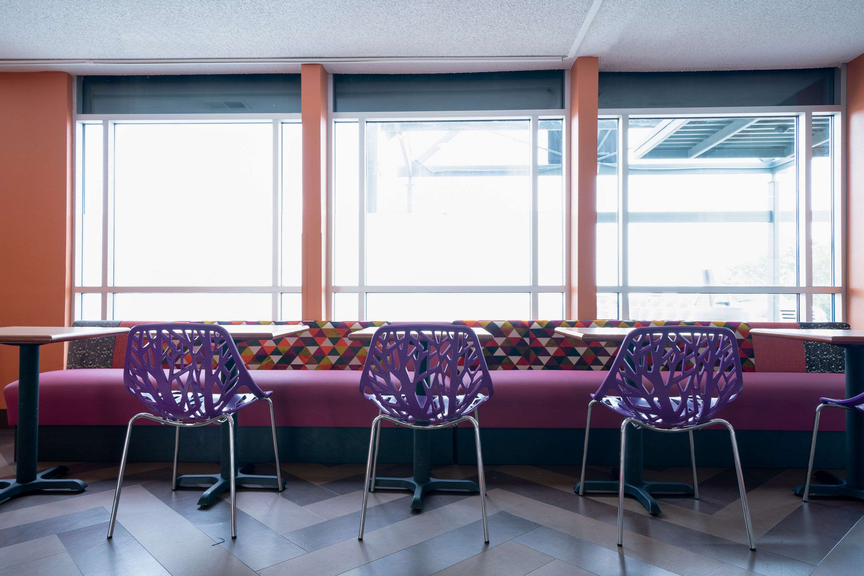 Hotel lobby | Comfort Inn At The Zoo