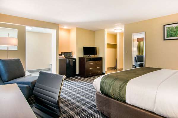Suite - Quality Inn & Suites Albany - I-5, Exit 234