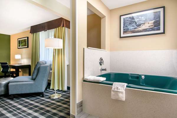 Suite - Quality Inn & Suites Albany - I-5, Exit 234