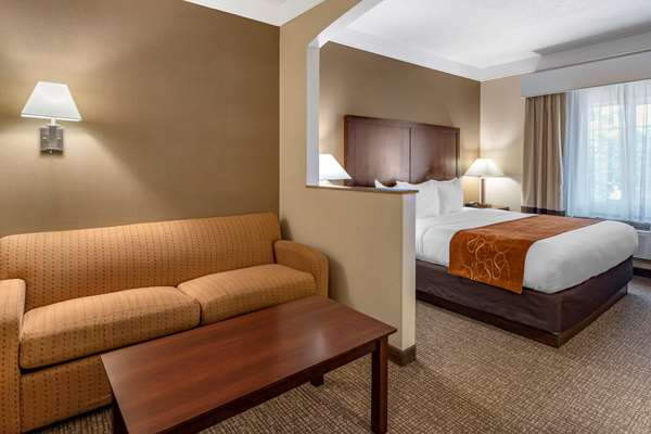 Suite - Comfort Suites Albany - I-5, Exit 234