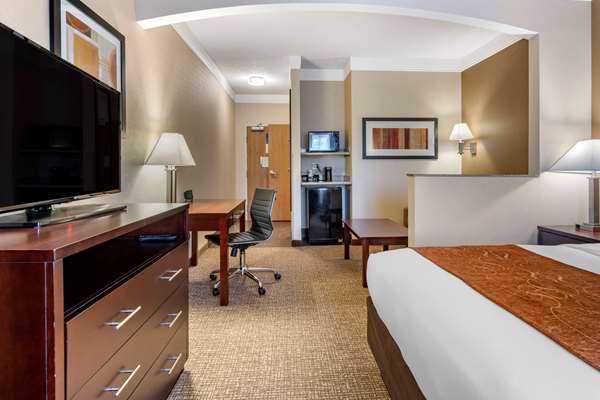 Suite - Comfort Suites Albany - I-5, Exit 234