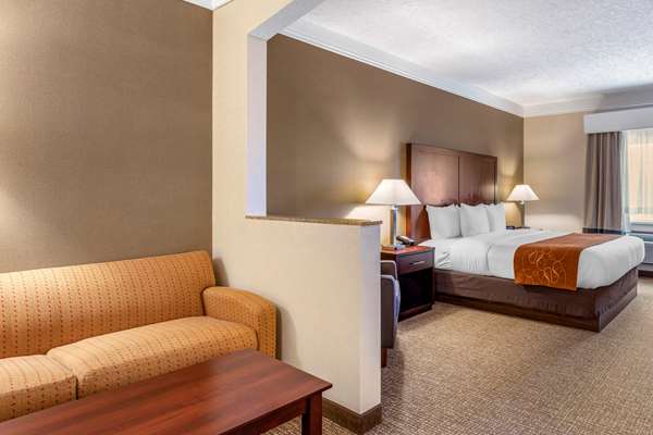 Suite - Comfort Suites Albany - I-5, Exit 234