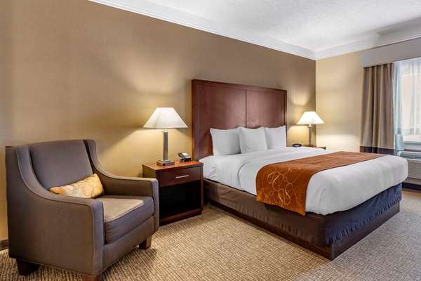 Suite - Comfort Suites Albany - I-5, Exit 234