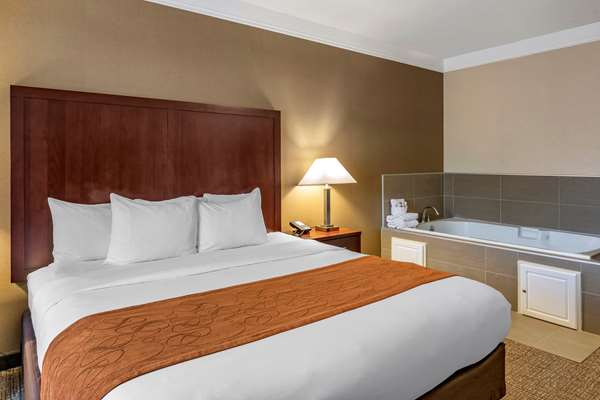 Suite - Comfort Suites Albany - I-5, Exit 234