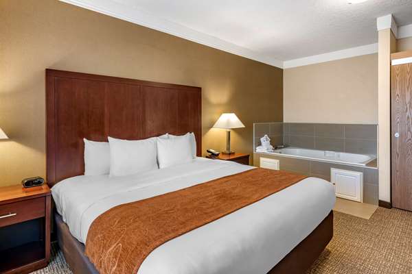 Suite - Comfort Suites Albany - I-5, Exit 234