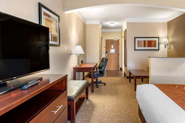Suite - Comfort Suites Albany - I-5, Exit 234