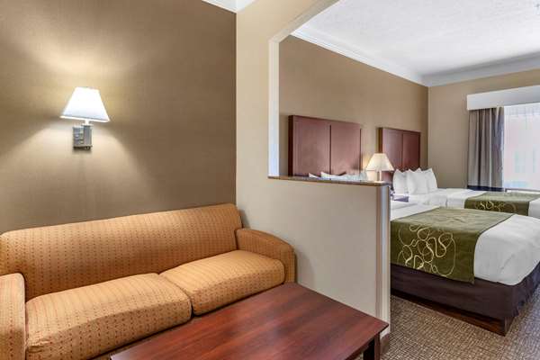 Suite - Comfort Suites Albany - I-5, Exit 234