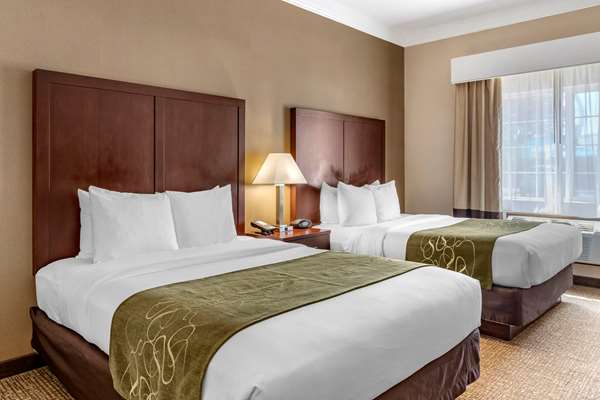 Suite - Comfort Suites Albany - I-5, Exit 234