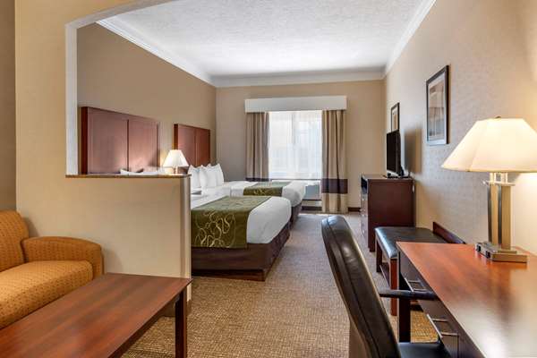 Suite - Comfort Suites Albany - I-5, Exit 234