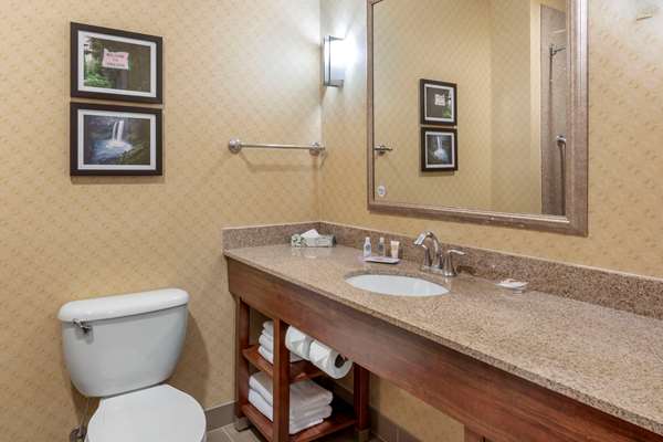 Suite - Comfort Suites Eugene - I-5, Exit 191