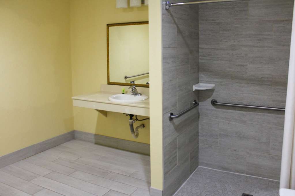 RODEWAY INN MEDFORD SOUTH I-5-guestroom-Guest Room,Bathroom,On-Site.jpg