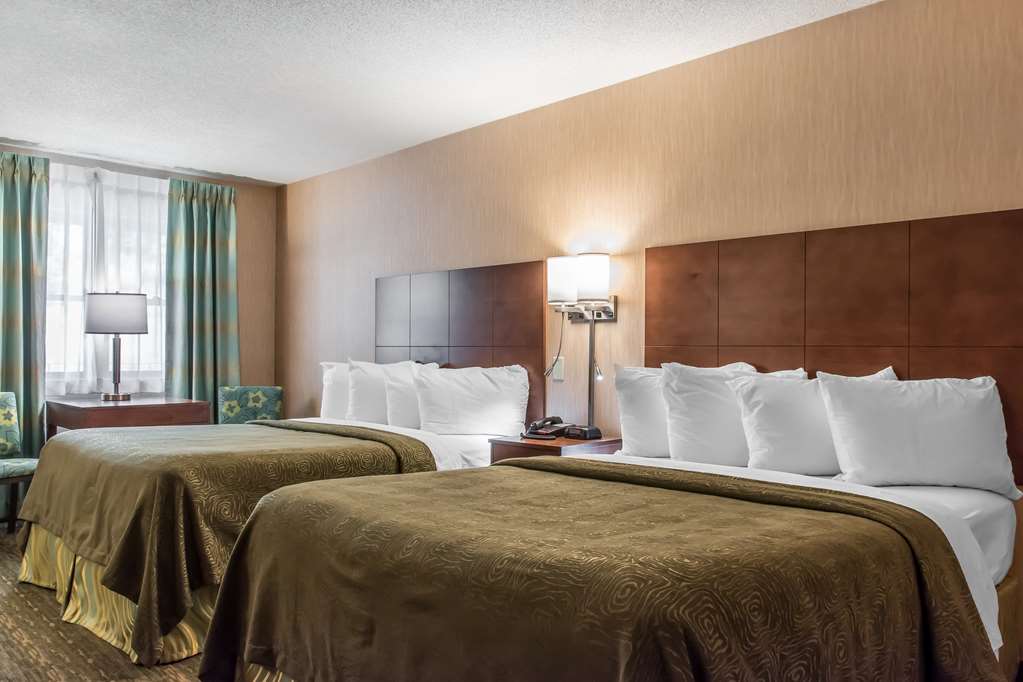 QUALITY INN-guestroom-Guest Room,On-Site.jpg