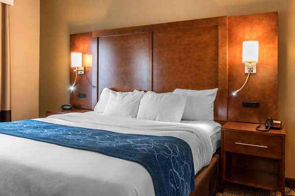 Suite - Comfort Suites Scranton - I-81, Exit 182