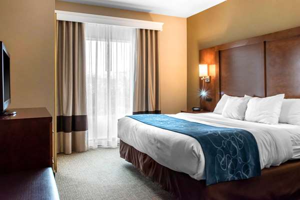 Suite - Comfort Suites Scranton - I-81, Exit 182