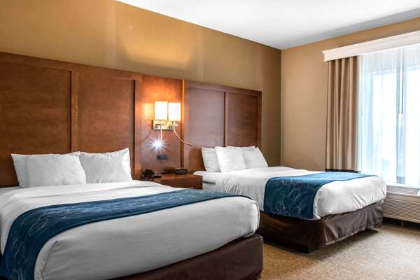 Suite - Comfort Suites Scranton - I-81, Exit 182