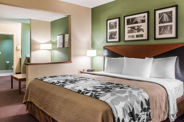 Suite - Sleep Inn & Suites Mountville
