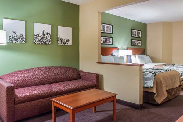 Suite - Sleep Inn & Suites Mountville