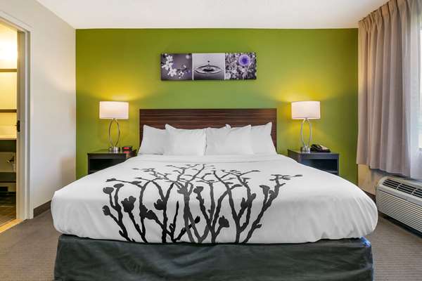 Suite - Sleep Inn Allentown - I-78, Exit 49