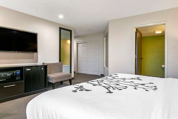 Suite - Sleep Inn Allentown - I-78, Exit 49