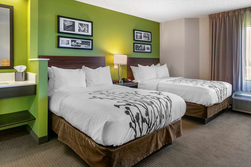 SLEEP INN ALLENTOWN-FOGELSVILLE-guestroom-Guest Room,On-Site.jpg