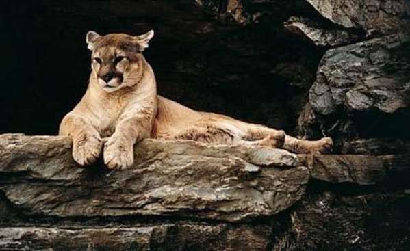  - Comfort Inn at the Park Hummelstown