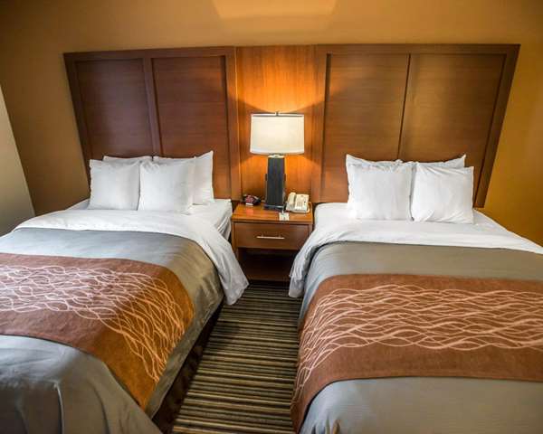 Suite - Comfort Inn at the Park Hummelstown