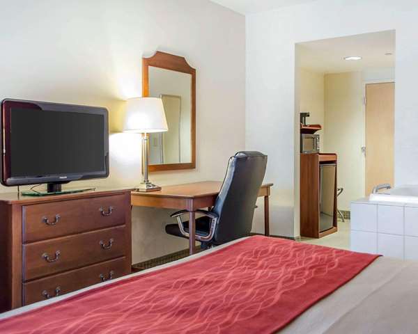 Suite - Comfort Inn & Suites York - I-83, Exit 22