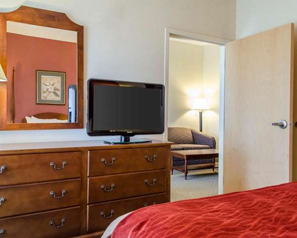 Suite - Comfort Inn & Suites York - I-83, Exit 22