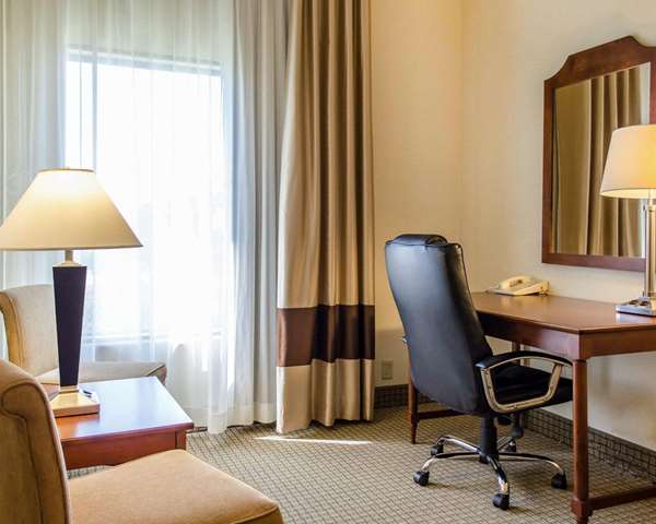 Suite - Comfort Inn & Suites York - I-83, Exit 22
