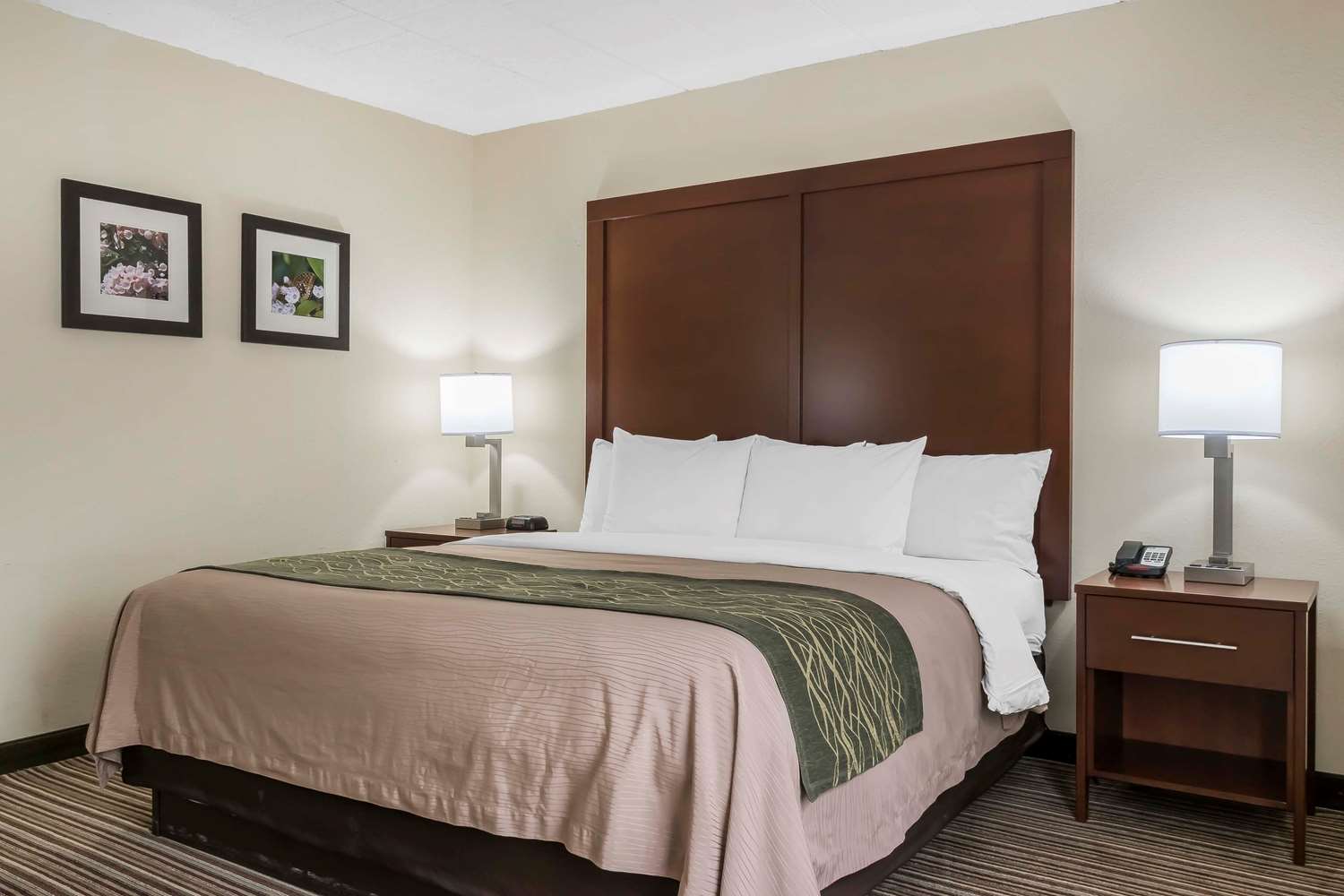 Comfort Inn Pocono Mountain White Haven Pa See Discounts