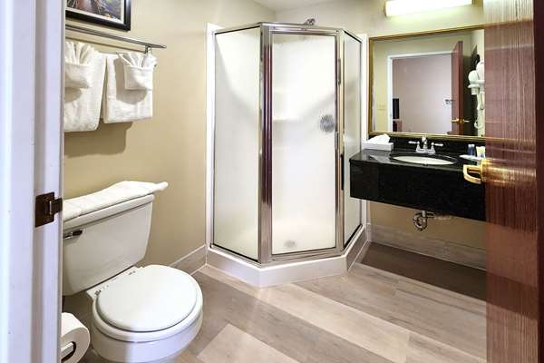 Suite - Comfort Inn & Suites Mount Pocono