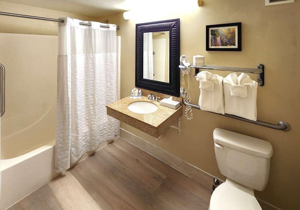 COMFORT INN AND SUITES NEAR POCONO, photo 6