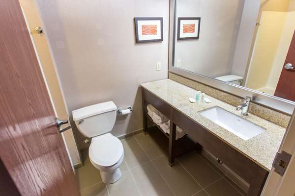  - Comfort Inn Pittsburgh - I-79, Exit 60