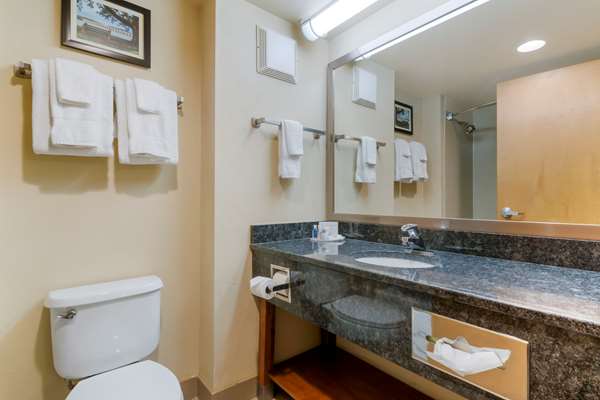  - Comfort Inn Mechanicsburg