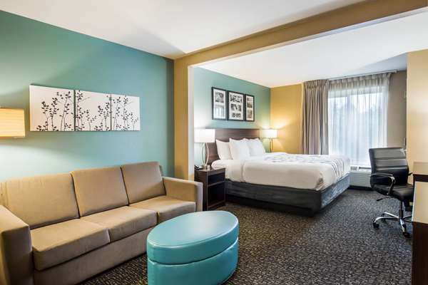 Suite - Sleep Inn & Suites Dunmore - I-81, Exit 188