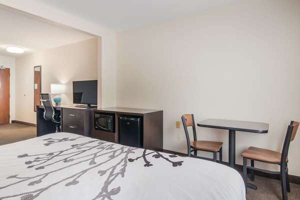 Suite - Sleep Inn & Suites Ronks