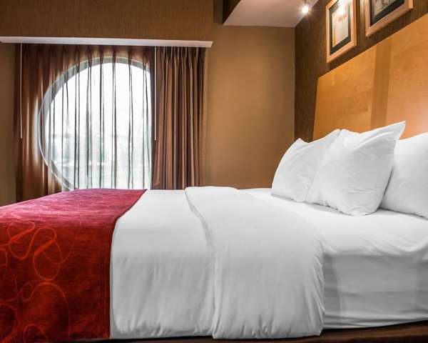 Suite - Comfort Suites Monroeville - I-76, Exit 57