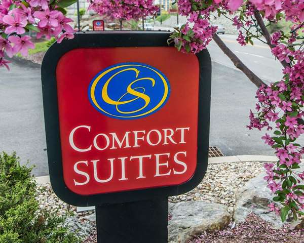Exterior view - Comfort Suites Monroeville - I-76, Exit 57