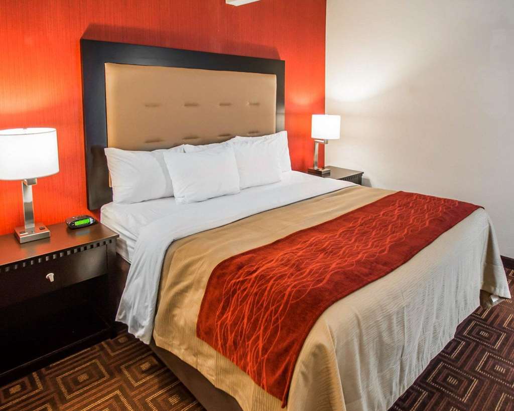 QUALITY INN & SUITES NJ STATE CAPIT-guestroom-Guest Room,On-Site.jpg