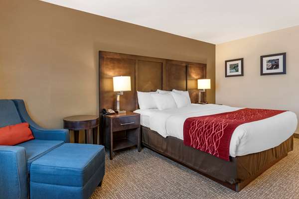  - Comfort Inn Williamsport