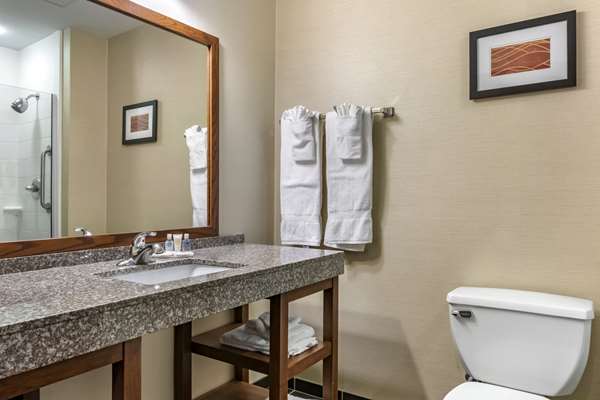  - Comfort Inn Williamsport